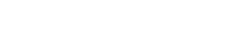 Pro Enterprise AI
